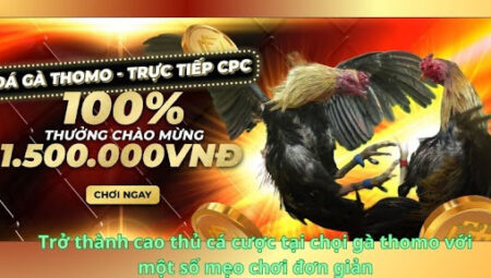 Đá gà thomo – Trò chơi thú vị thu hút lượng tham gia khủng tại MCW